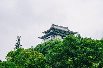 日本分析师：OLED Switch可能是一个愚蠢的升级